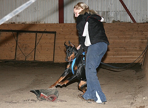 Training in Estonia 3/2007